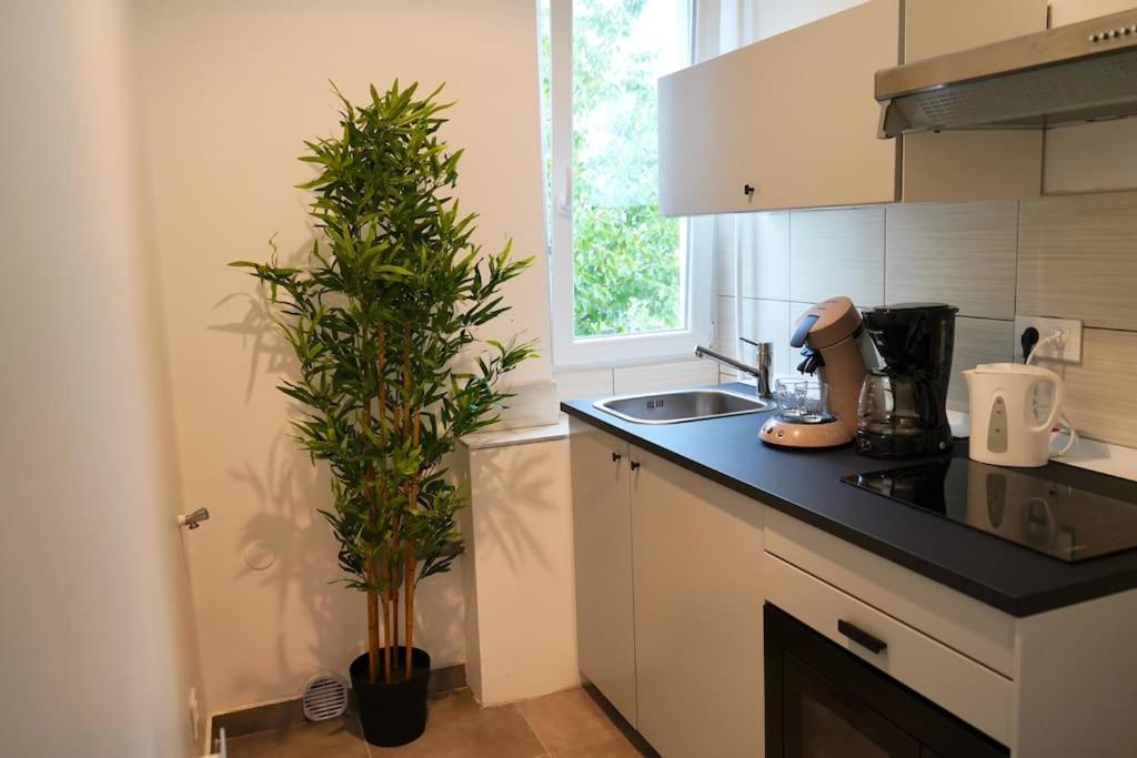 Rm-1 - Appartement F2 Au 1Er Etage Pour 1-3 Pers Mulhouse Esterno foto